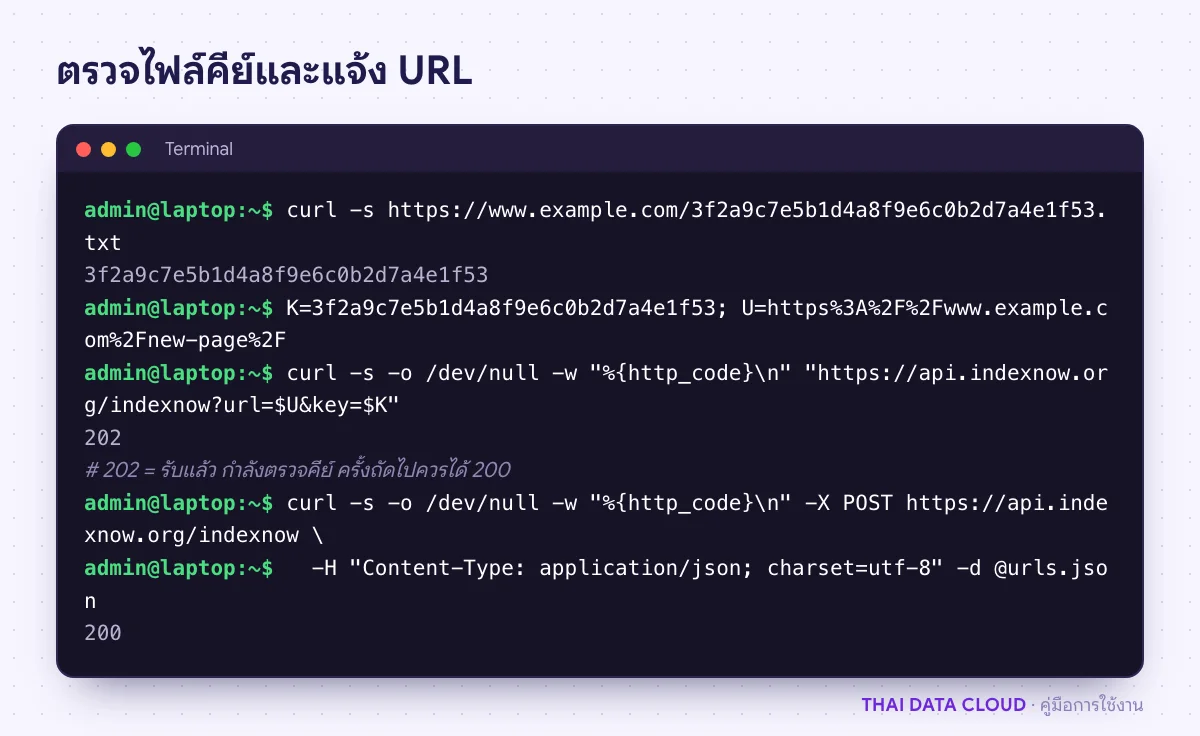 หน้าจอเทอร์มินัลตรวจไฟล์คีย์ IndexNow บนเว็บด้วย curl แล้วแจ้ง URL ใหม่ไปที่ api.indexnow.org ได้รหัสตอบกลับ 200 และ 202