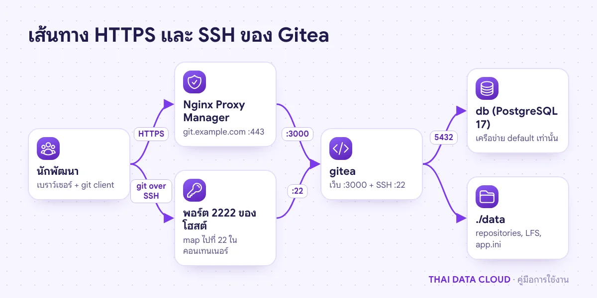 แผนภาพนักพัฒนาเข้าหน้าเว็บ Gitea ผ่าน Nginx Proxy Manager พอร์ต 443 และ push ผ่าน SSH พอร์ต 2222 เข้าคอนเทนเนอร์โดยตรง