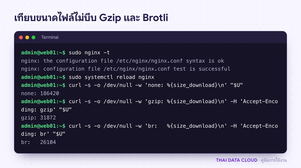 หน้าจอ curl วัดขนาดไฟล์ CSS เดียวกันแบบไม่บีบอัด แบบ Gzip และแบบ Brotli หลังตั้งค่า Nginx
