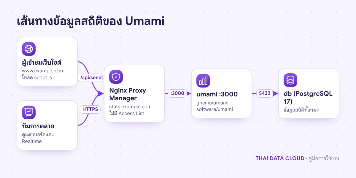 แผนภาพเบราว์เซอร์ผู้เข้าชมโหลด script.js และส่งข้อมูลไป /api/send ผ่าน Nginx Proxy Manager ไปยัง Umami และ PostgreSQL