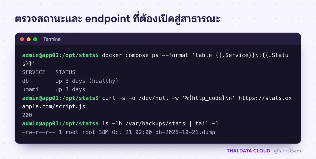 ผลคำสั่ง docker compose ps ของ Umami และ PostgreSQL และ curl ตรวจว่า script.js เปิดได้จากภายนอกด้วยรหัส 200