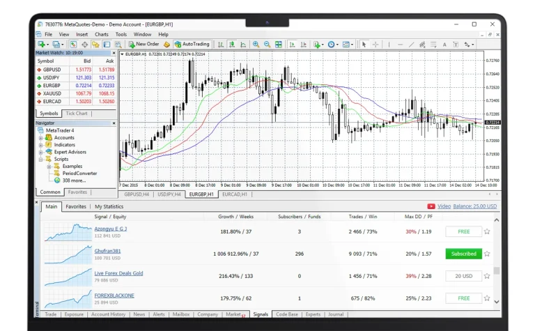 MetaTrader 4 รันบน Forex Server ของ THAI DATA CLOUD