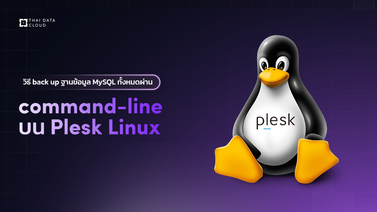 back up MySQL