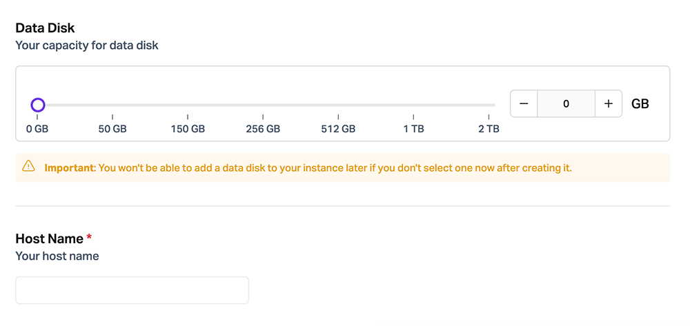 Web Hosting Service