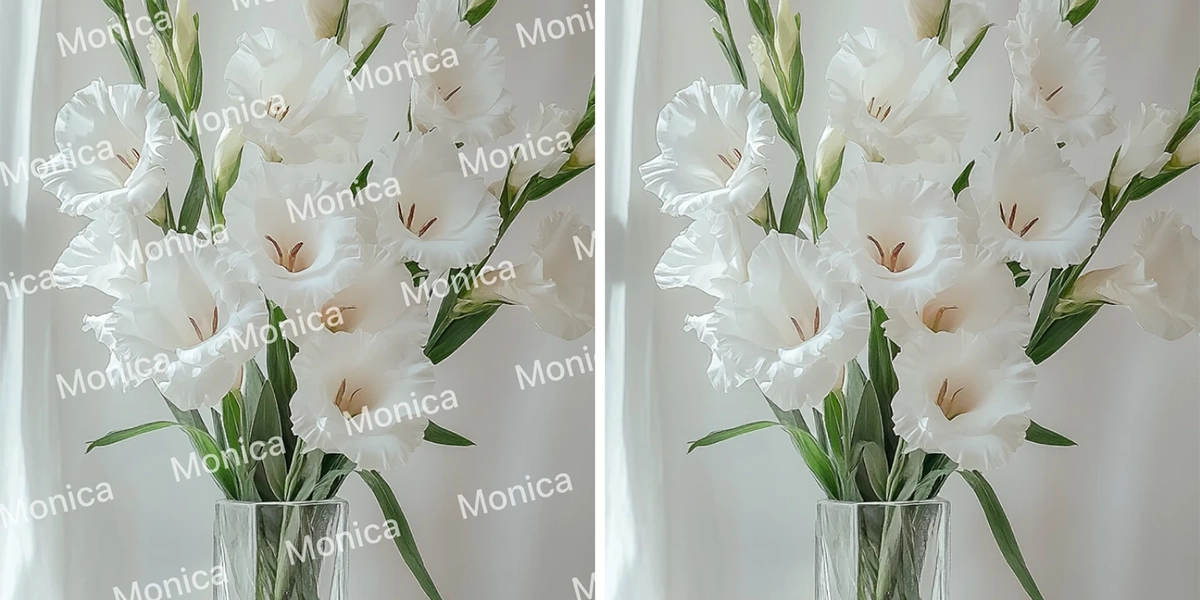 monica.im